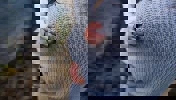 Mamma/förälder håller i sitt barn som har greppat tag i tröjan